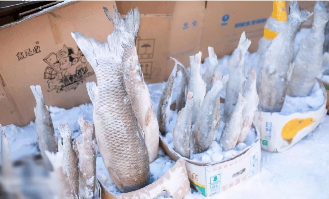 东北零下30度市场视频,东北冬天零下30度低温