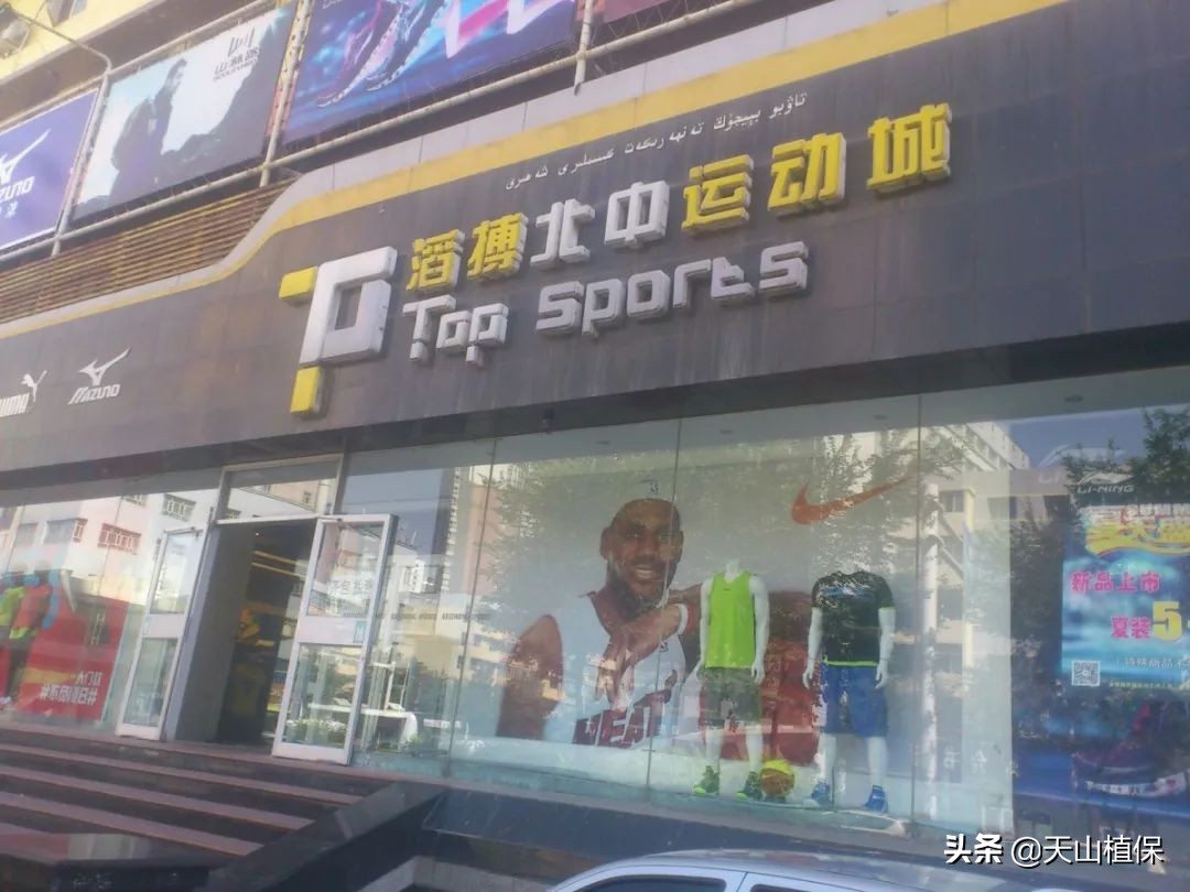 迪丽热巴古力娜扎对比视频,迪丽热巴与娜扎