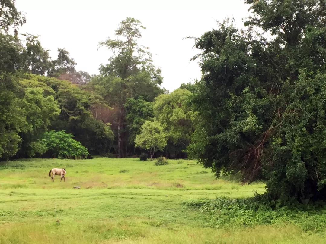 云旅游带你看遍天下美景,一起去旅行吧旅游
