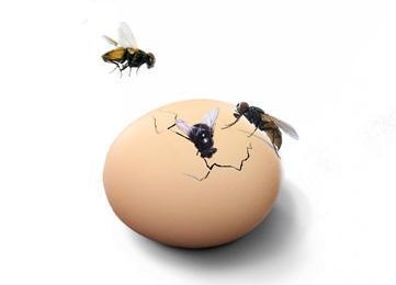 中国足球奇葩一幕,中国足球奇葩