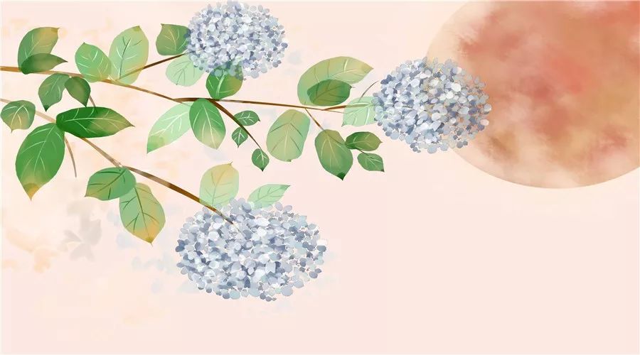 学会放下和释然的经典诗句,释怀放下的经典诗句