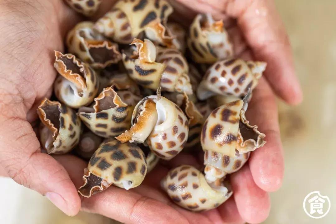 香港鲍鱼老字号,这家老店回头客超多牛气冲天