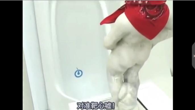 岛国的厕所设计到底有多魔鬼？这不是公开处刑吗哈哈哈哈哈