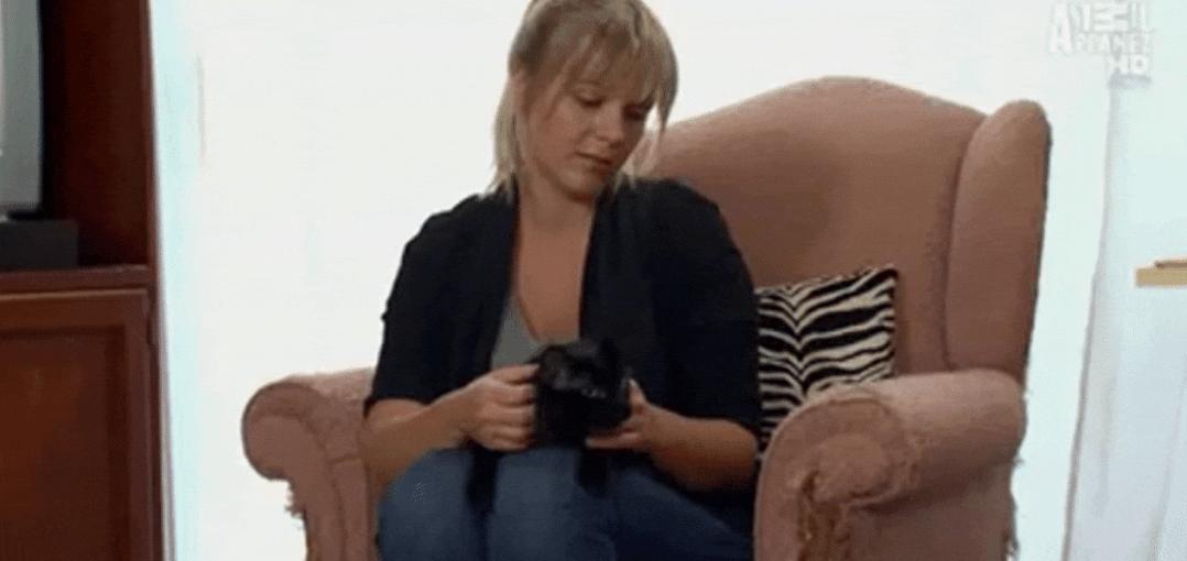 猫为什么总凶别人,猫为什么凶新来家的小猫