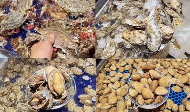 爽到爆的美食,爽到爆吃海鲜