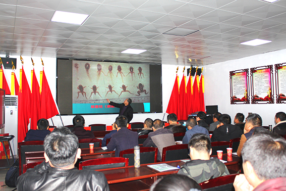 石门岩蛙价格表,石门岩蛙最新信息