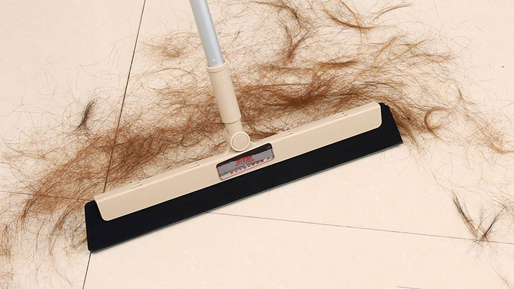 家里的毛发如何清理,怎样去除家里的毛发