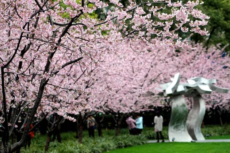 上海休闲娱乐好去处可以呆一整天,上海十大免费玩的地方