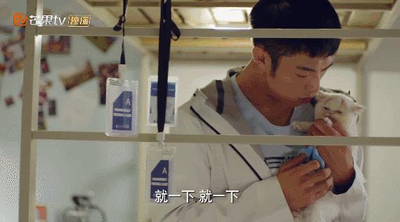 五一小长假，这剧甜得我倒床不起