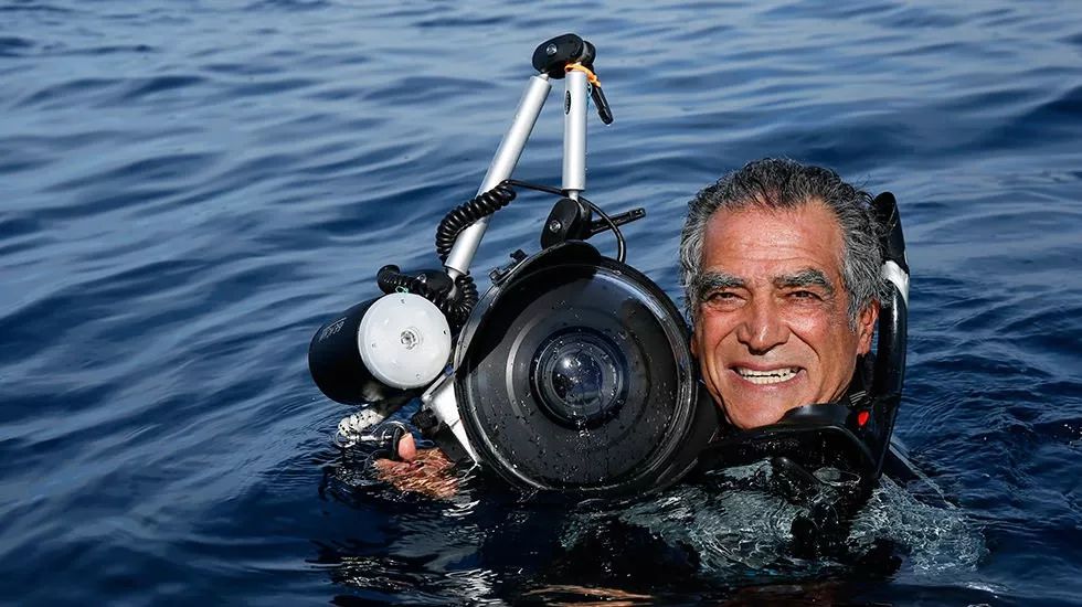 73岁老人被狼追杀,人类被鲨鱼猎杀的惊恐瞬间