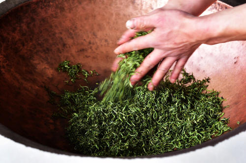 蒙顶黄芽与蒙顶雀舌口感,蒙顶雀舌和蒙顶石花