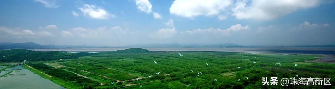 高新企业科技进步奖,科技部高新技术成果和优秀企业