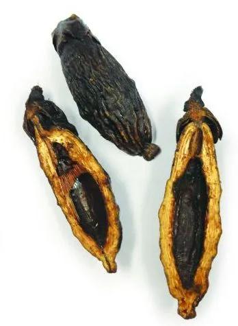 嚼槟榔致癌为什么还有人嚼槟榔,嚼槟榔致癌还是槟榔致癌