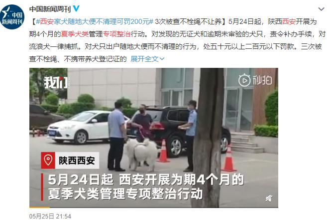 夏季犬管理整治,犬类整治