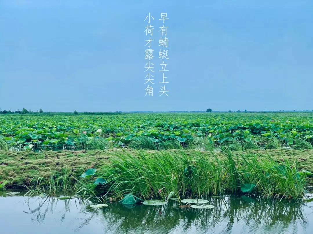 一场说走就走的旅行,一场说走就走的聚会