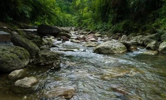 成都五一旅游人少亲子游景点推荐,五一成都旅游去哪儿玩
