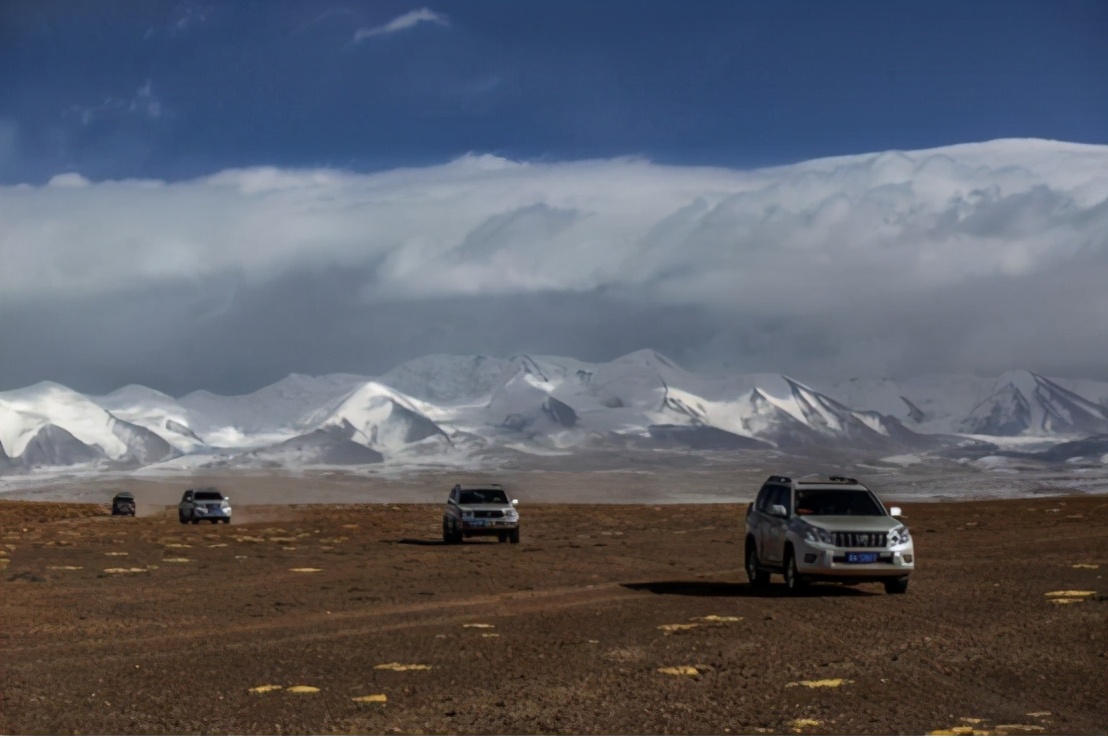 净土天峻,净土天峻高原牧场图片