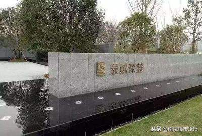 南京万科都荟天地城,南京万科新都荟摇号