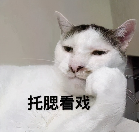 一袋猫粮350,猫粮一袋吃多久