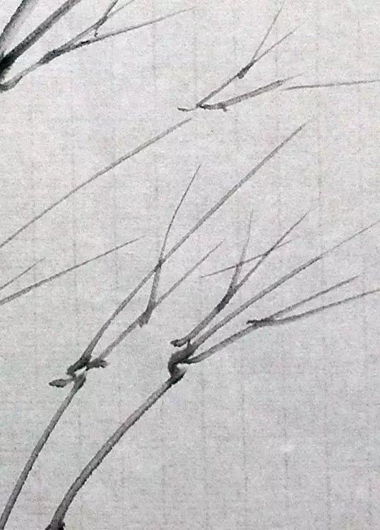 国画竹子怎么画简单又好看,画竹子的叶子简单画法