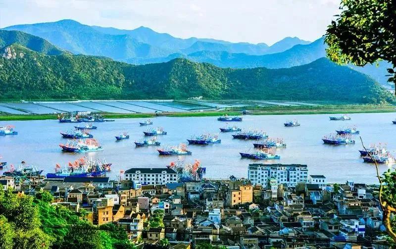 书藏古今港通天下,书藏古今港通天下央视