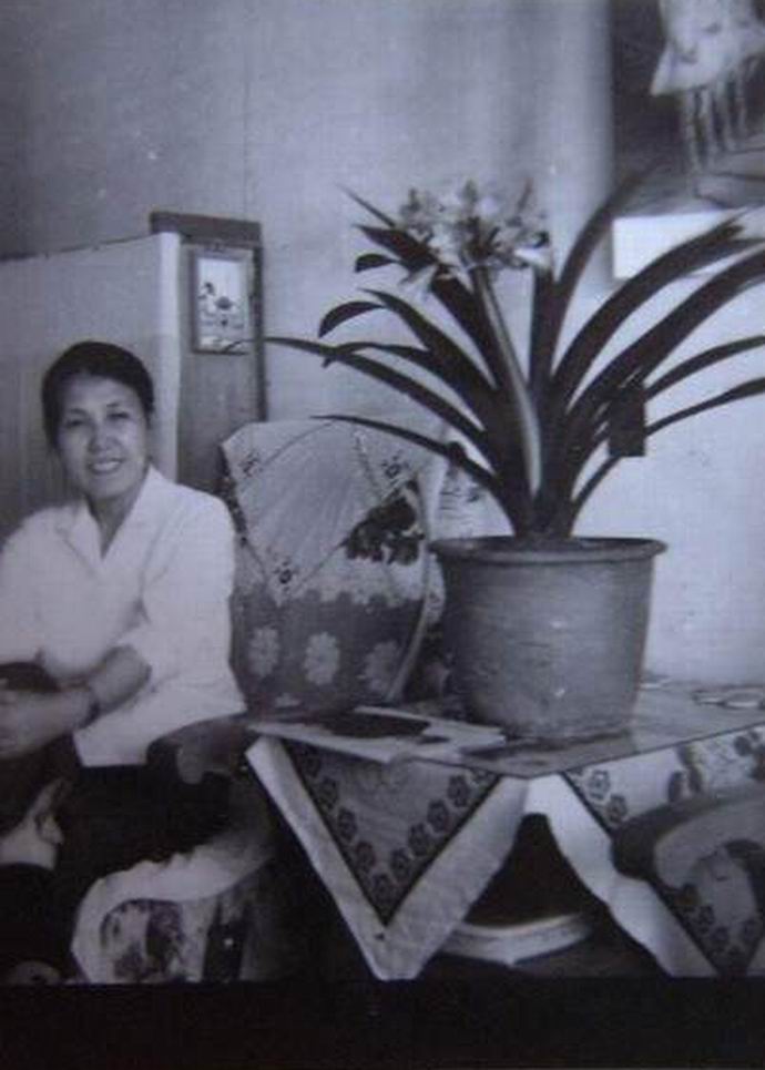 当年东北炒作君子兰,80年代炒作君子兰