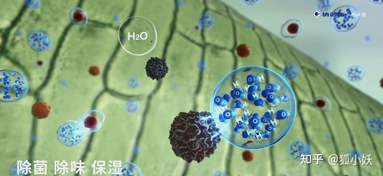 卡萨帝日立东芝博世哪个好,东芝西门子卡萨帝冰箱选哪款