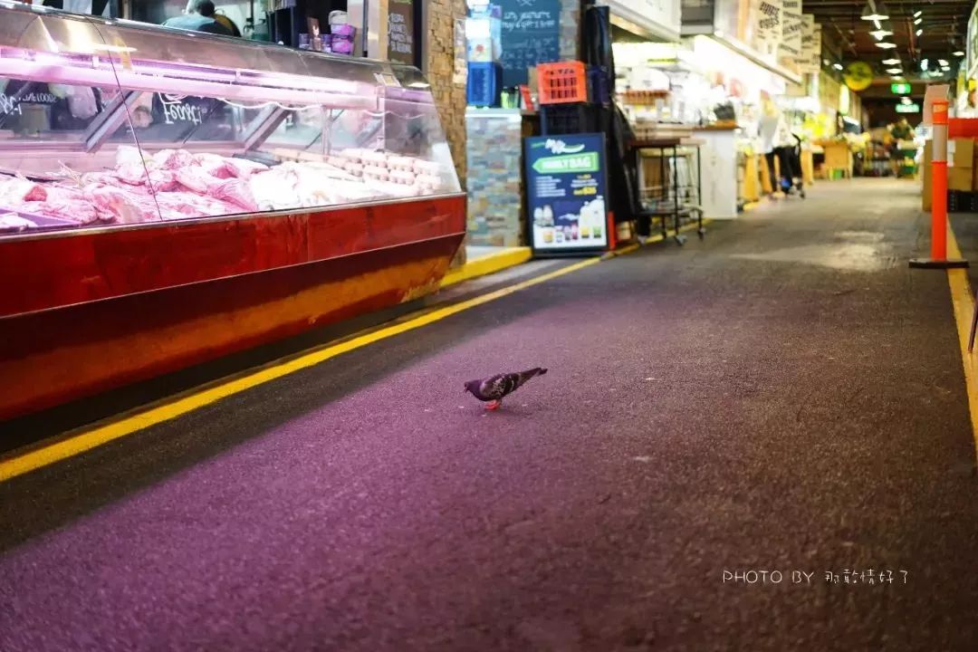 这个南半球最大的生鲜市场，成为了吸引世界游人的另类景点