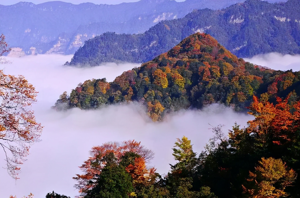 巴中光雾山红叶的最佳时间,红叶谷打卡地