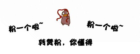 去柬埔寨好不好,去柬埔寨不进园区危险吗