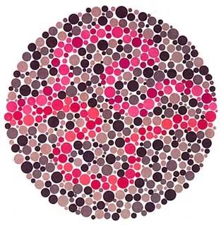 色盲看到真实的世界,色盲眼里的世界是怎么样的图片