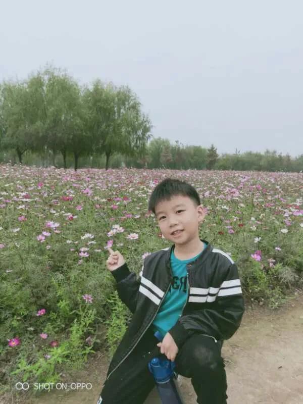 好文征稿,好文征集完整版