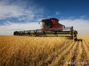 农业创业三大陷阱,农业创业必须知道的五大雷区