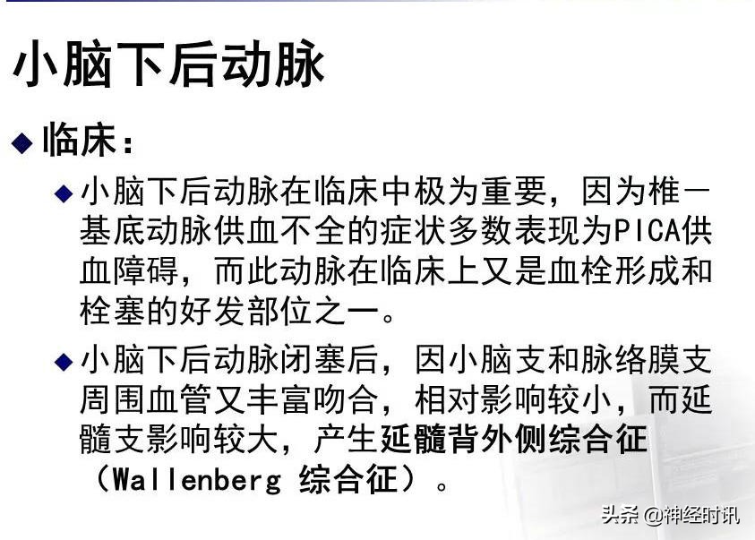 脑动脉解剖学讲解,基底节区脑血管解剖