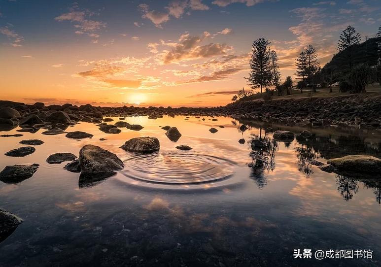 成图4月品牌活动到！快来赴一场*光春**之约