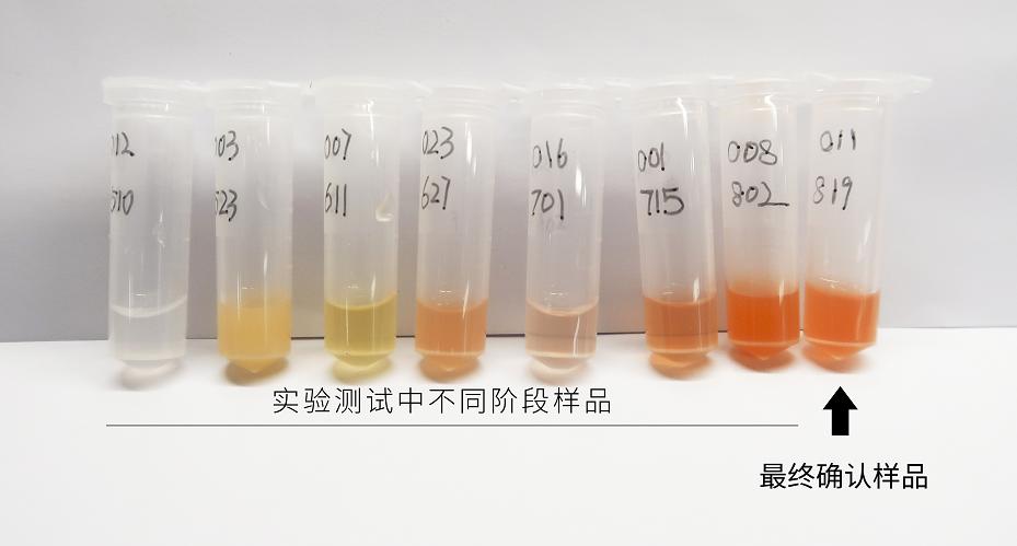 用了十年的美妆面膜,用了十年大牌护肤品的你