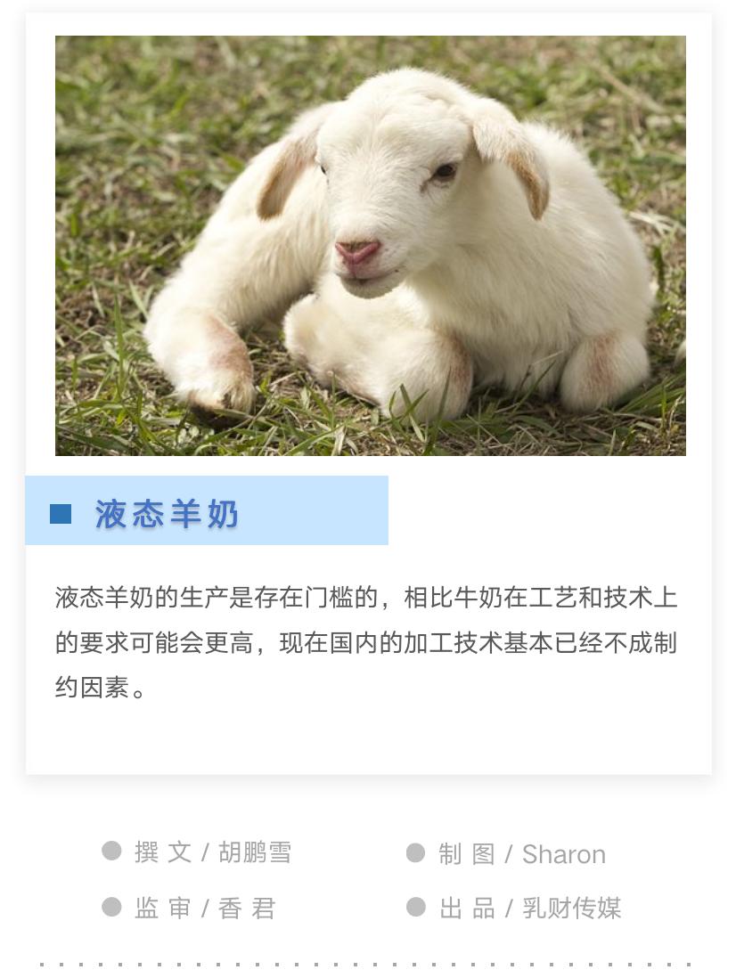 中国羊奶未来展望,液态羊奶是真的吗