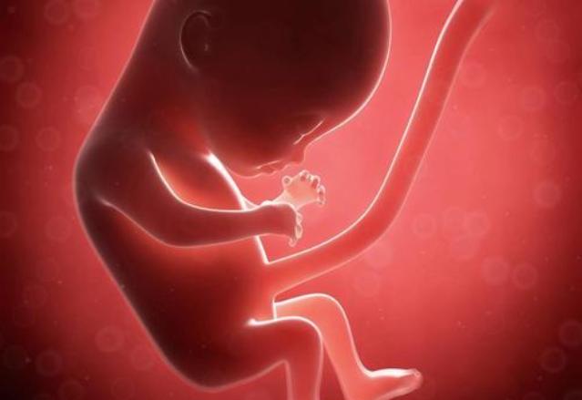 5个月大的胎儿频繁胎动，一查：可能是想见妈妈了