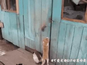 low-e玻璃镀膜层朝室内还是室外,热反射镀膜玻璃是低辐射lowe吗