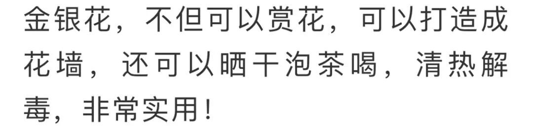 看到花的时候，不知是什么花？那就收下这份百花图谱