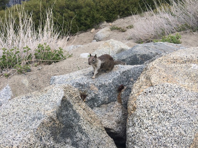 加州优胜美地冰川,优胜美地冰川封顶