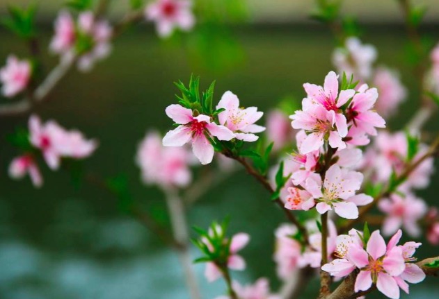 他连考十多次进士未中，写下一首诗抱怨不平，却成千古名作