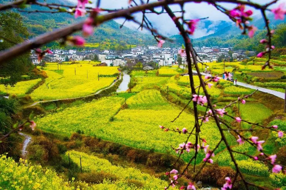 人生就是一种回忆感慨良多,人生感悟时光匆匆不念过往