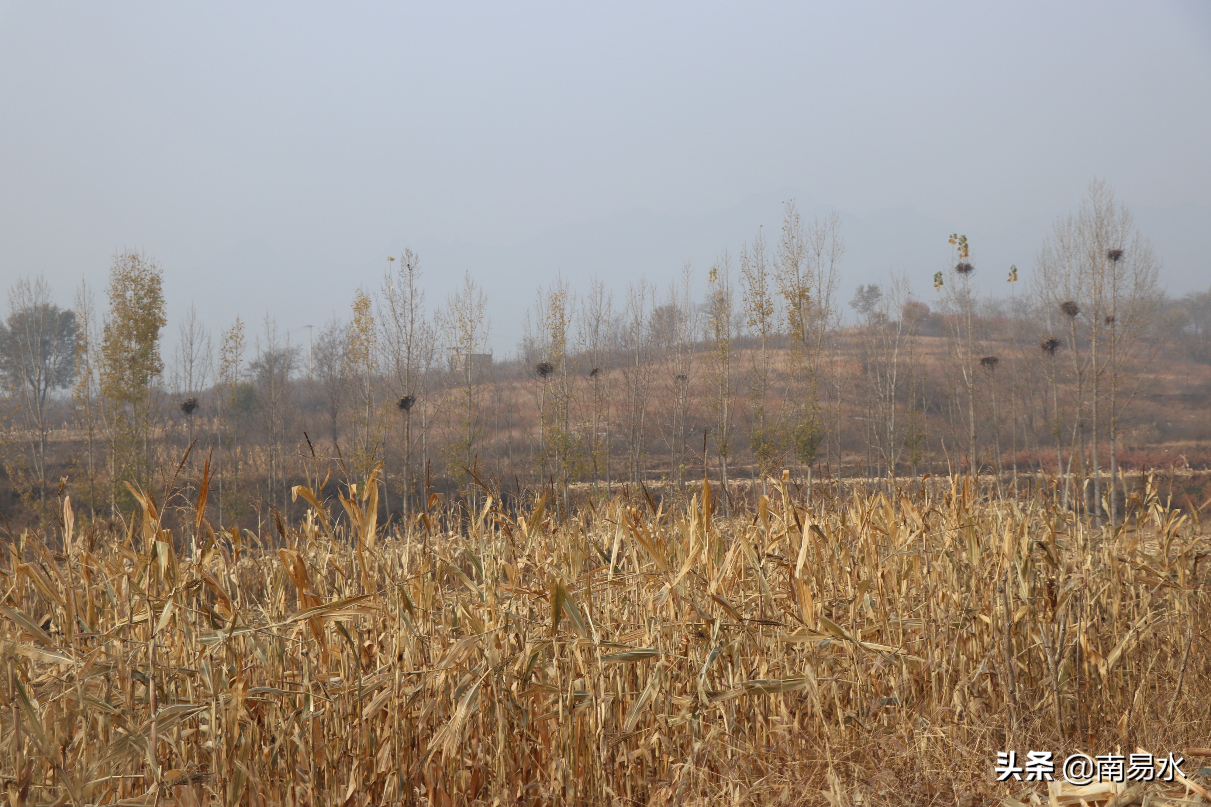 家乡风景带你一起感受自然的味道,令你难以忘怀的家乡的味道