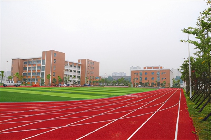 推进教育事业高质量均衡性发展,教育均衡发展试点学校实施方案