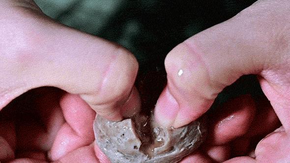 新人首播正宗潮汕手打牛肉丸,正宗潮汕手打牛肉丸全过程直播