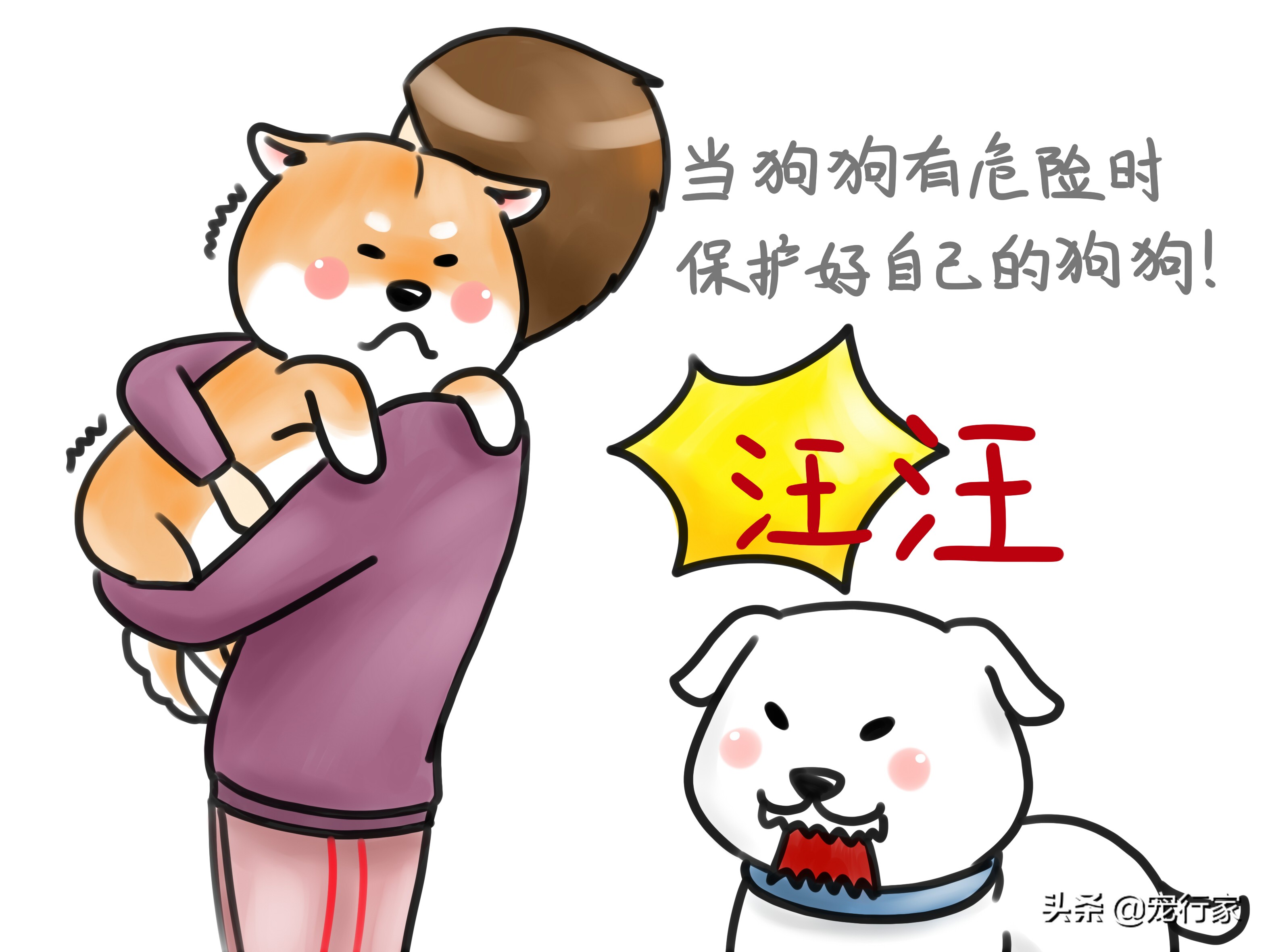 怎么对狗社会性训练,狗到底要怎么训练