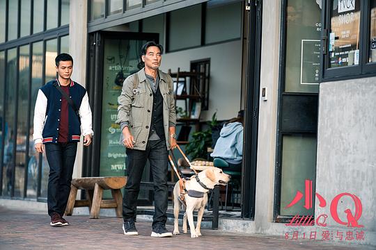 暖心类的电影能走多远？《小Q》上线，票房首日破千万发现新风向