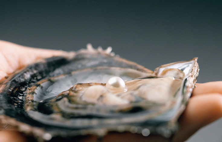 日本晚安粉提亮版,日本晚安定妆粉