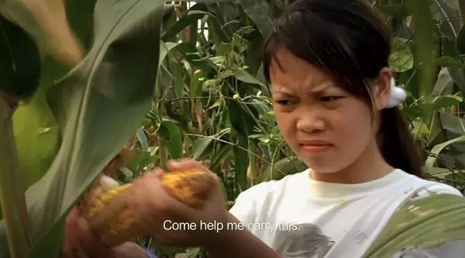 归途列车纪录片高清在线播放,归途列车纪录片完整版下载